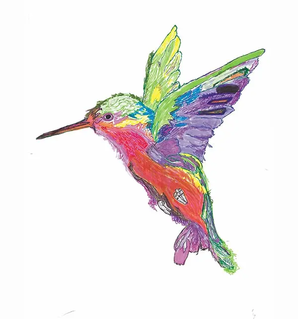 hummingbird-600-min